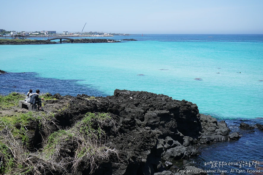 3.%ED%95%A8%EB%8D%95%ED%95%B4%EC%88%98%EC%9A%95%EC%9E%A5.png?type=w1200