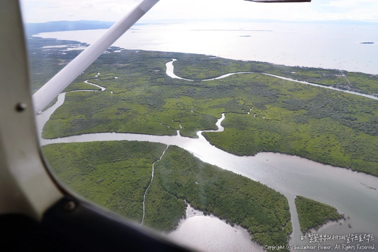 04._%EA%B2%BD%EB%B9%84%ED%96%89%EA%B8%B0%ED%88%AC%EC%96%B4.png?type=w1200