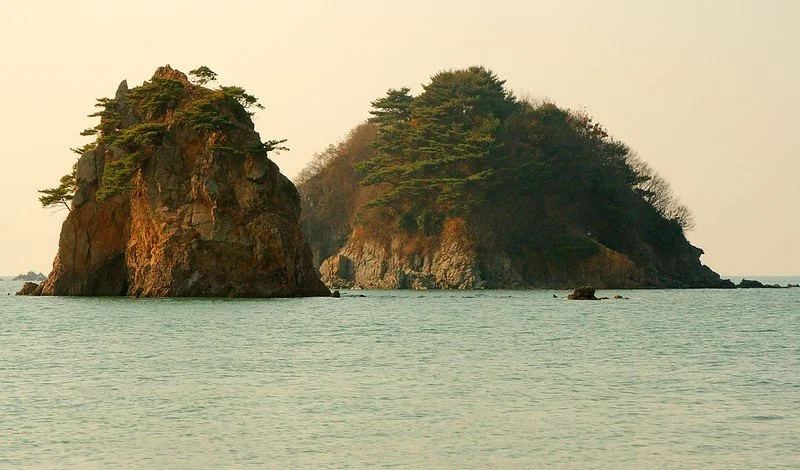 302700231_c58b2fe718_c.jpg?type=w1200