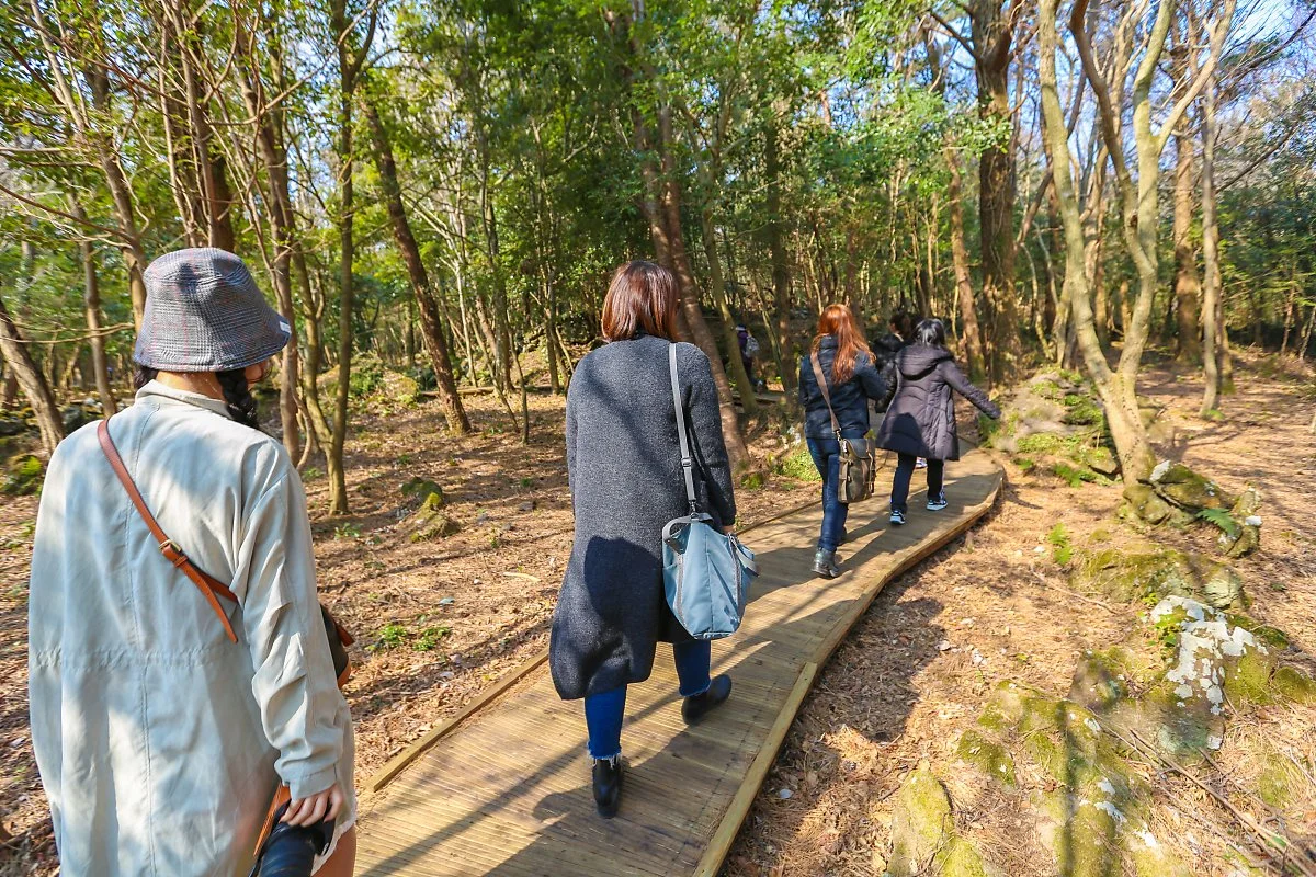 %EC%A0%9C%EC%A3%BC_%284%29.jpg?type=w1200