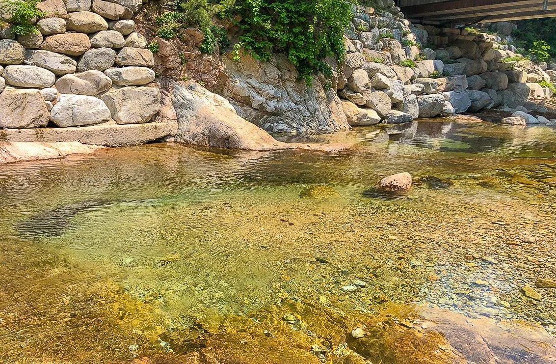 2_%EC%96%91%EC%96%91_%EC%98%A4%EC%83%89%EC%98%A8%EC%B2%9C_%284%29.jpg?type=w1200&type=w1200