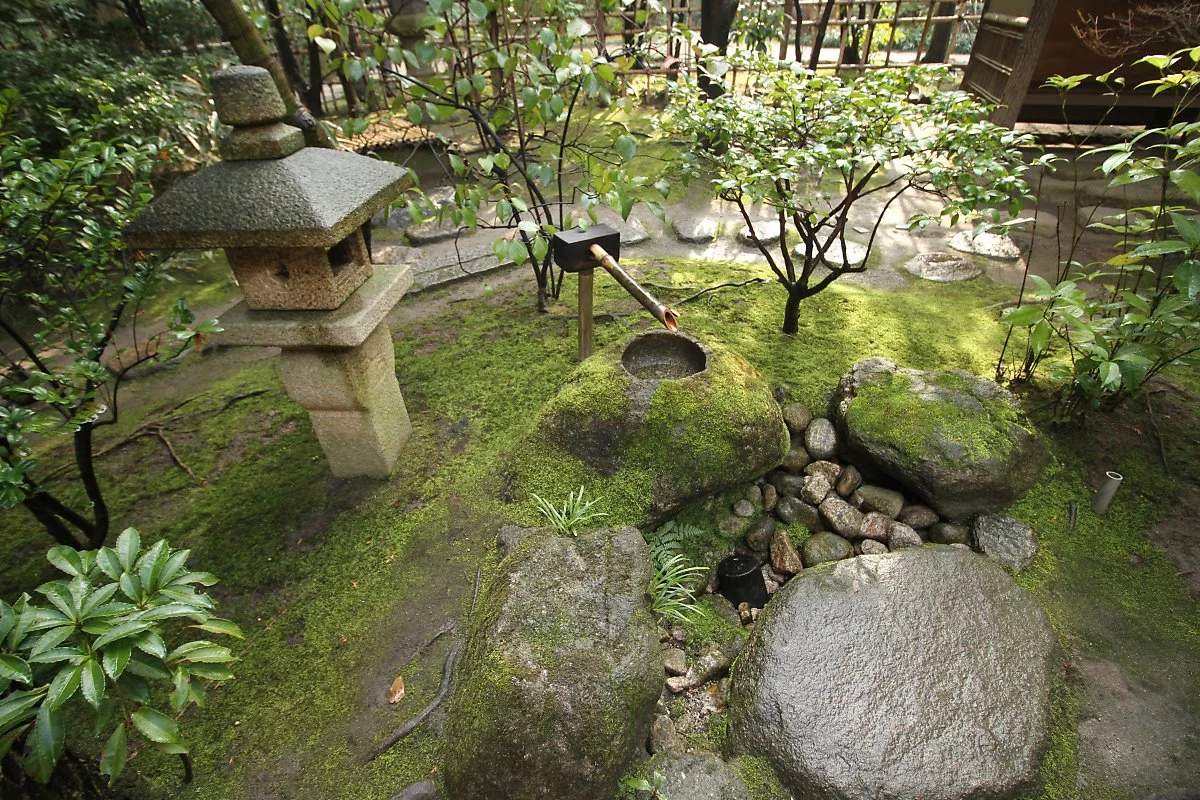 1_%EB%9D%BC%EC%BF%A0%EC%8A%A4%EC%9D%B4%EC%97%94.JPG?type=w1200