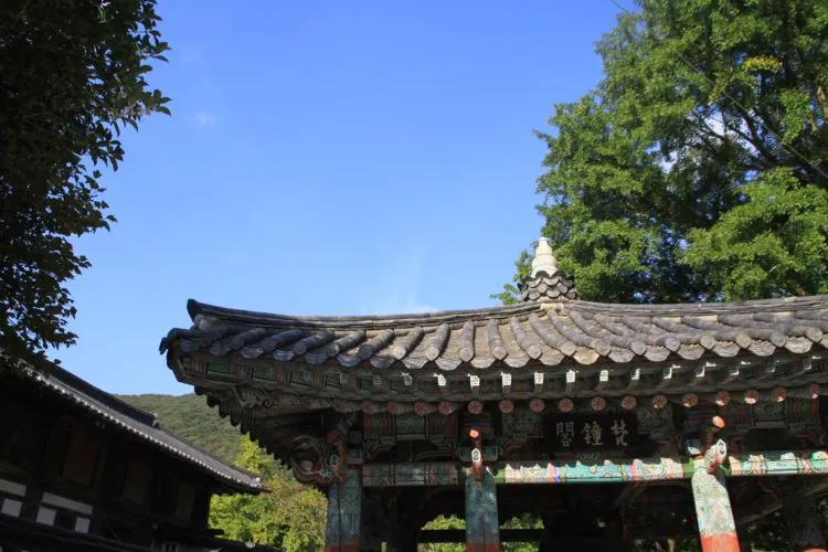 020-선암사 (2)resize.JPG