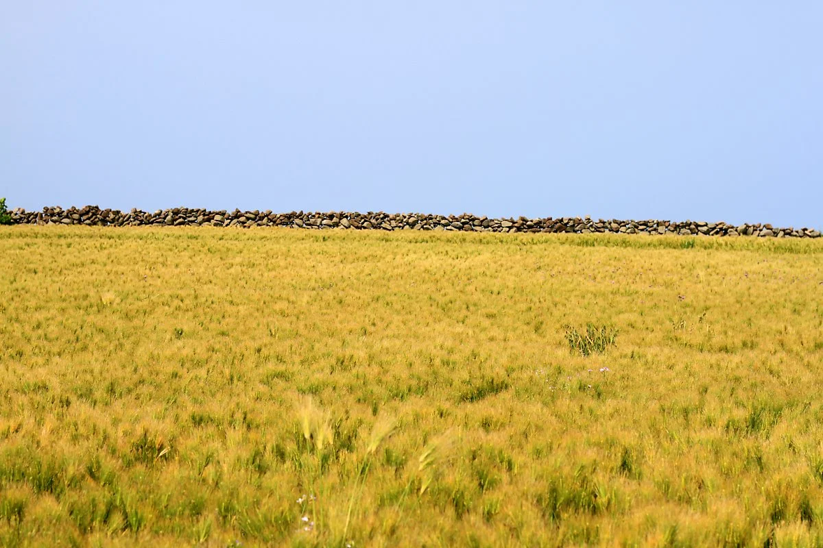 29_%EA%B0%80%ED%8C%8C%EB%8F%84.JPG?type=w1200