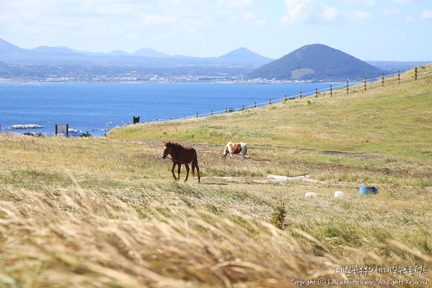 1.%EC%9A%B0%EB%8F%84.png?type=w1200