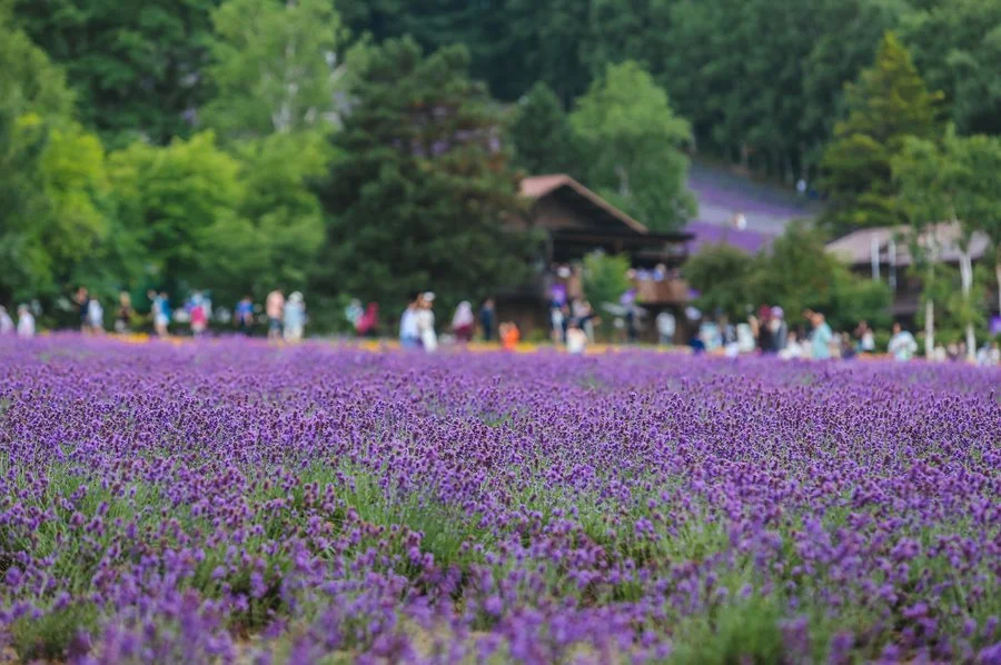 5%EC%9B%94SEO.%EC%82%BF%ED%8F%AC%EB%A1%9C%EC%97%AC%EB%A6%8408_2.jpg?type=w1200