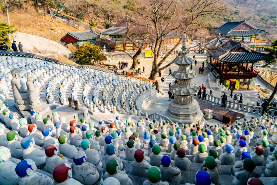 image.png?type=w1200