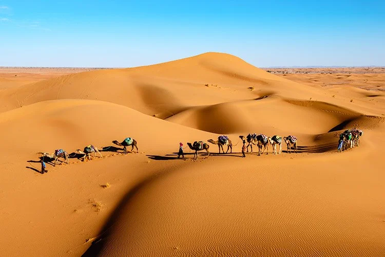 5-%EB%A7%88%EB%9D%BC%EC%BC%80%EC%8B%9C.jpg?type=w1200