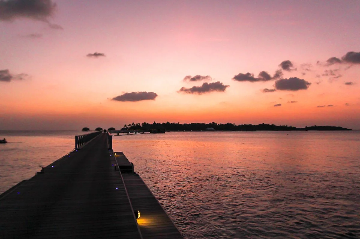 1IMG_5608.jpg?type=w1200