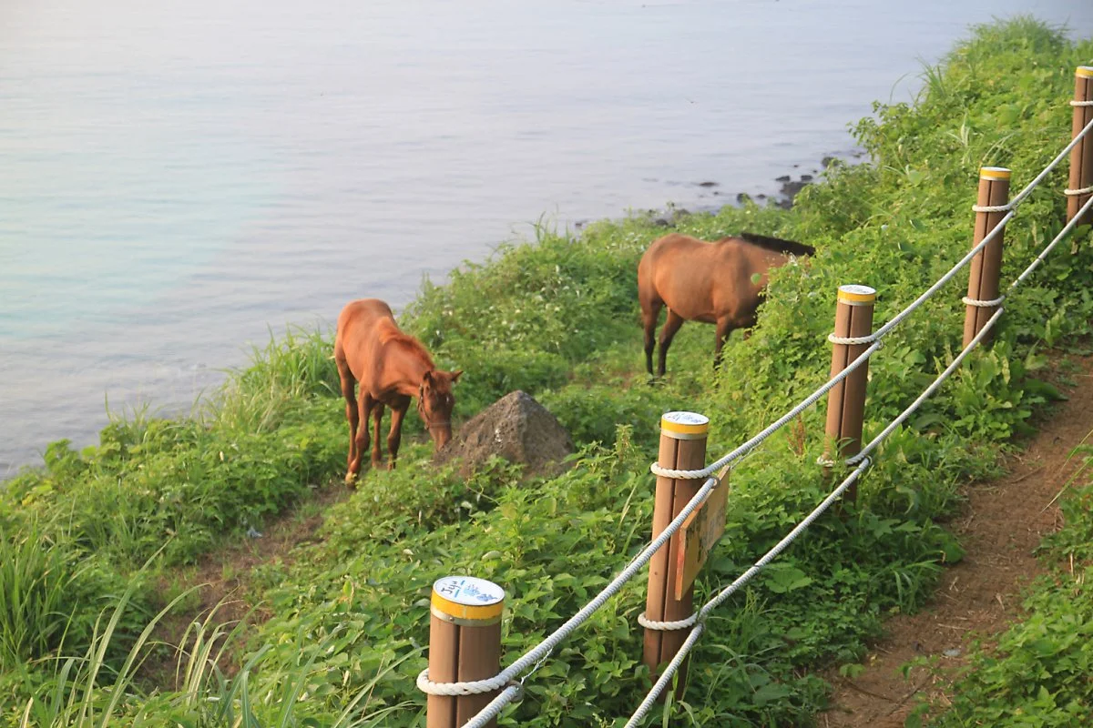 5_%ED%95%A8%EB%8D%95%EC%84%9C%EC%9A%B0%EB%B4%89%ED%95%B4%EB%B3%80_%282%29.JPG?type=w1200