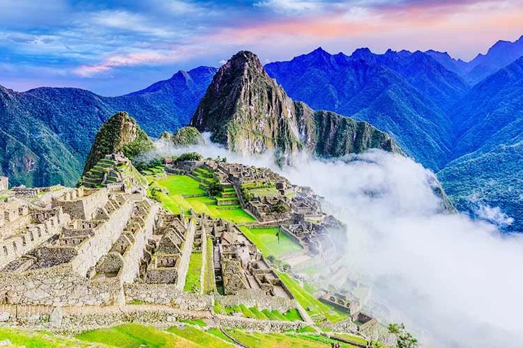 1-%ED%8E%98%EB%A3%A8.jpg?type=w1200