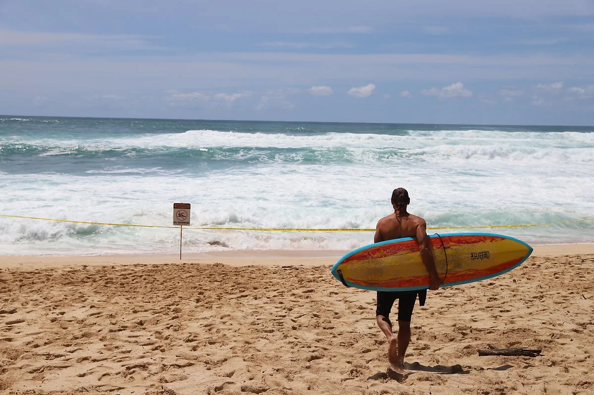 %ED%95%98%EC%99%80%EC%9D%B4%ED%95%AD%EA%B3%B5%EA%B6%8C6.JPG?type=w1200