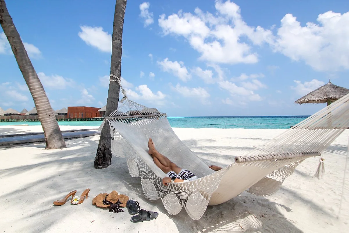 1IMG_5670.jpg?type=w1200