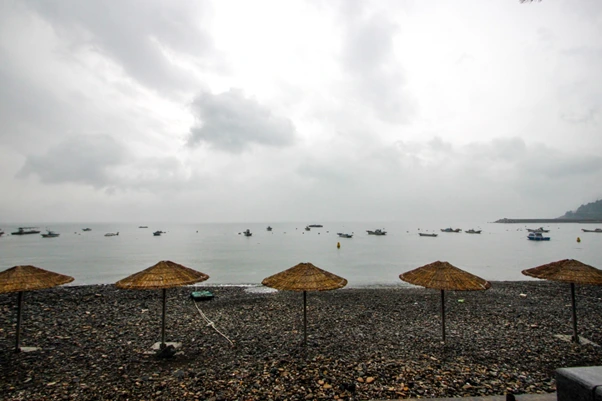 image.png?type=w1200