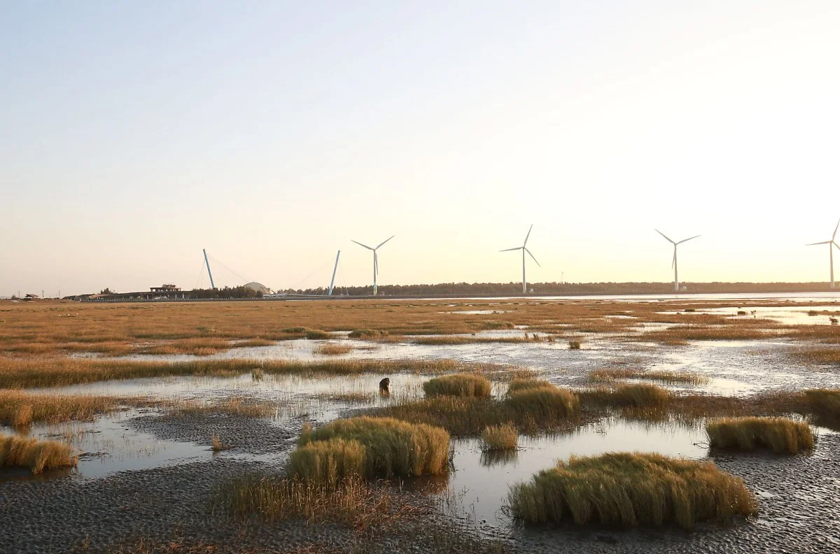 %EB%8C%80%EB%A7%8C%ED%83%80%EC%9D%B4%EC%A4%913.jpg?type=w1200