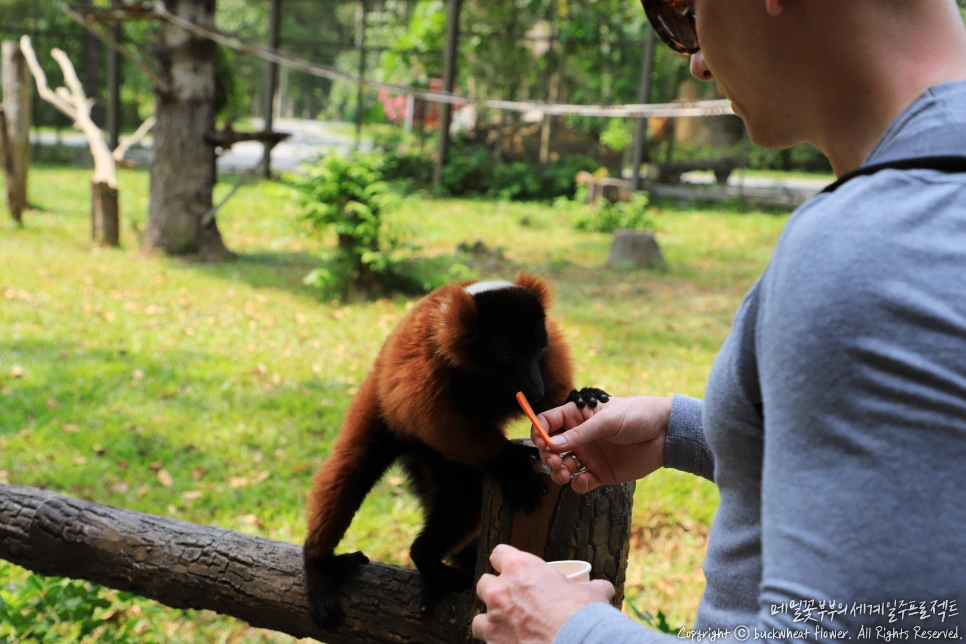 15.%EB%B9%88%ED%8E%84%EC%82%AC%ED%8C%8C%EB%A6%AC.png?type=w1200