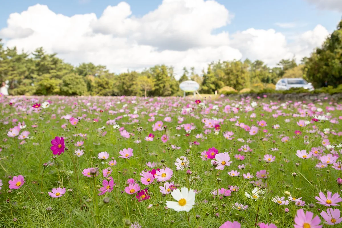 1IMG_3122.jpg?type=w1200