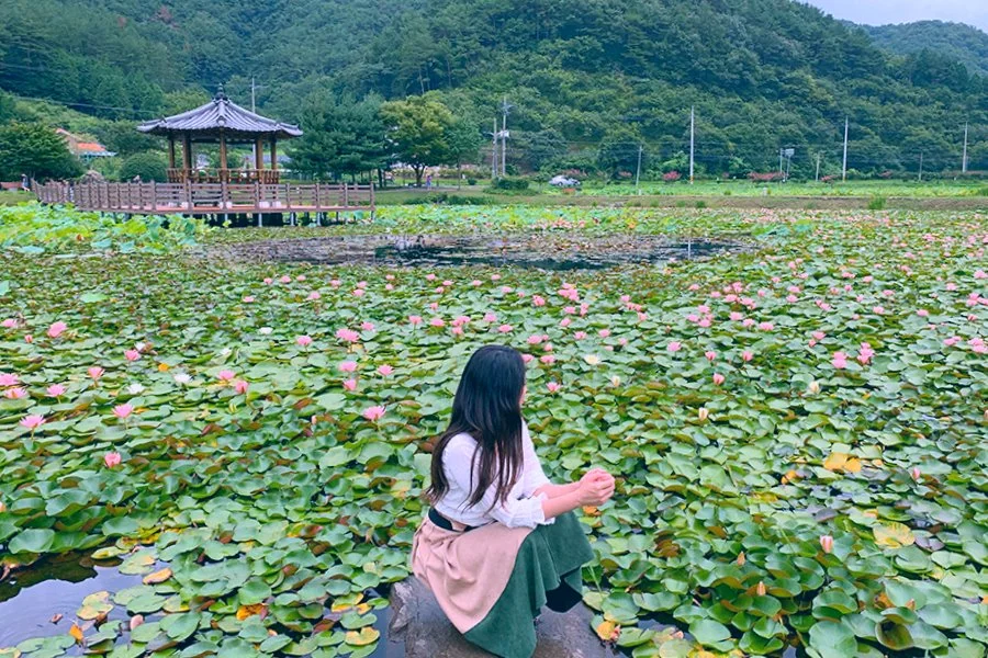 image_1567725241566915224421.jpg?type=w1200