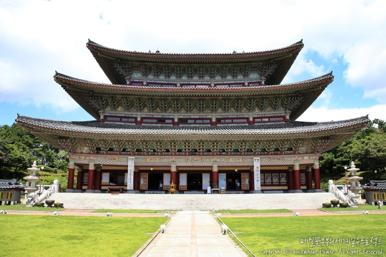 %EC%95%BD%EC%B2%9C%EC%82%AC_02.png?type=w1200