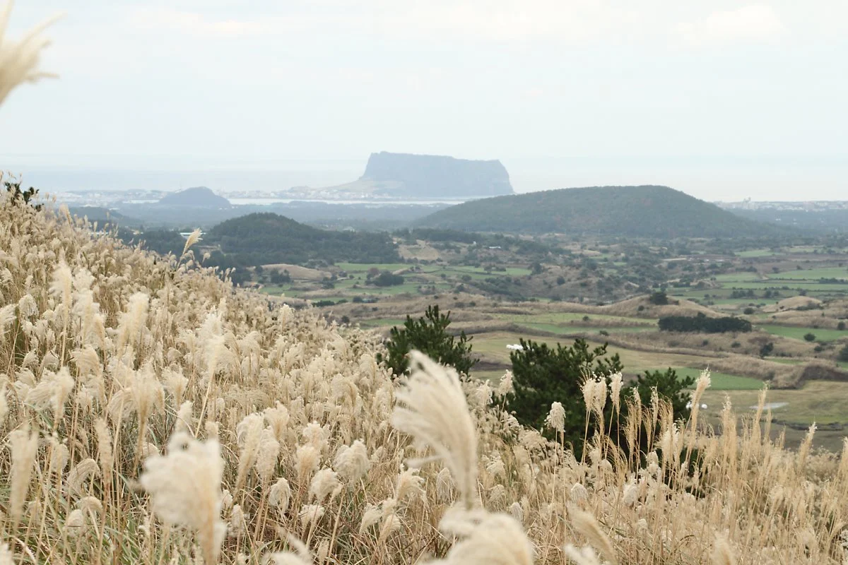 8_%EC%9A%A9%EB%88%88%EC%9D%B4_%EC%98%A4%EB%A6%84_%281%29.JPG?type=w1200