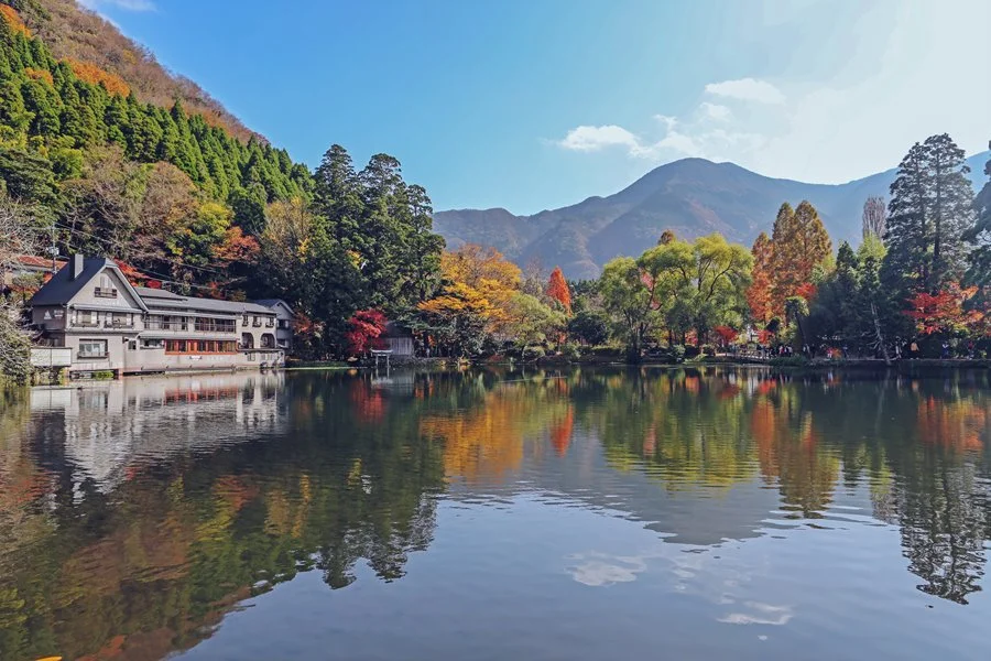 5SEO.FUK28.jpg?type=w1200