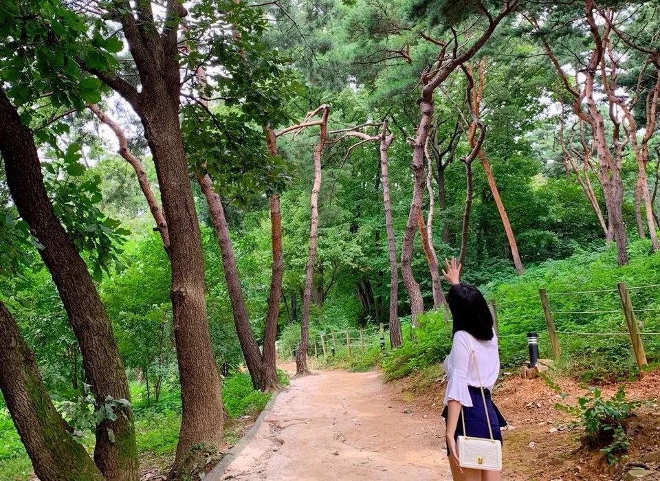 image_1565225561567779959228.jpg?type=w1200