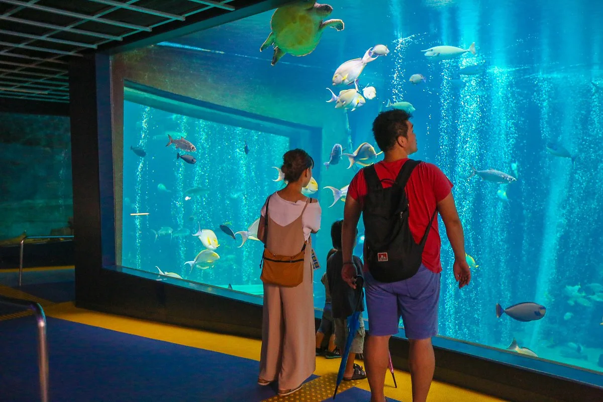 4%EC%9D%BC%EC%B0%A8_%ED%95%98%EC%BD%94%EB%84%A4_%ED%88%AC%EC%96%B4_%285%29.jpg?type=w1200