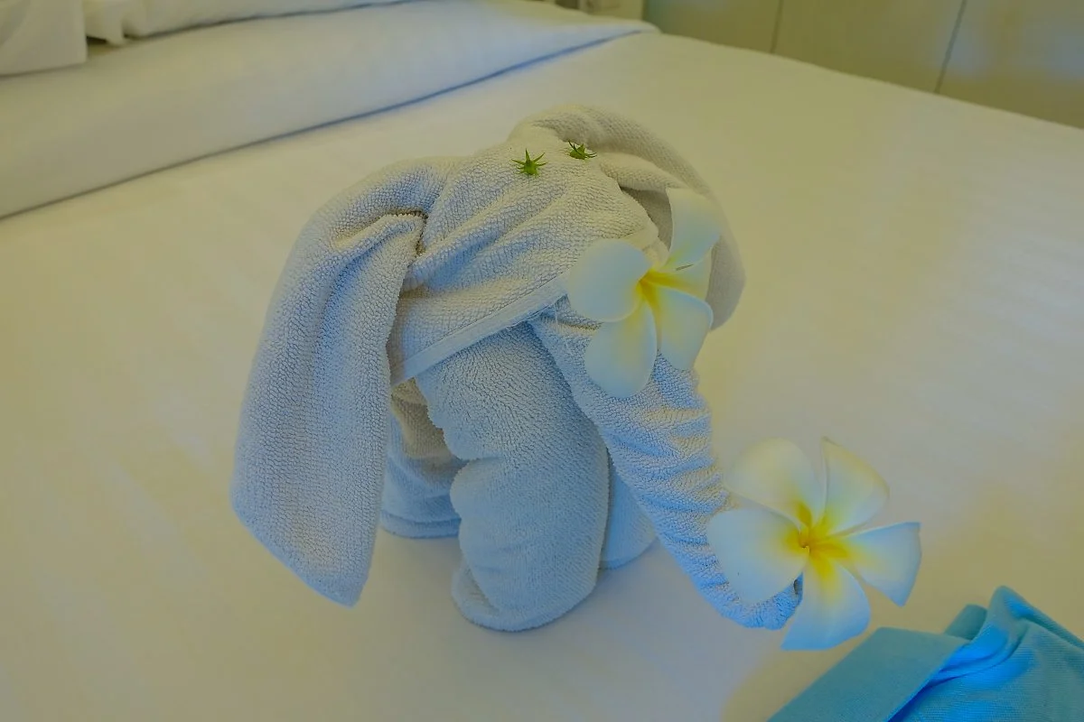 %EB%AA%B0%EB%94%94%EB%B8%8C_%282%29.jpg?type=w1200