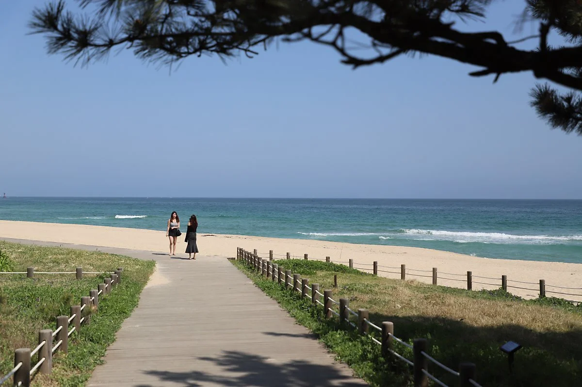 %EA%B0%95%EB%A6%89_%281%29.JPG?type=w1200