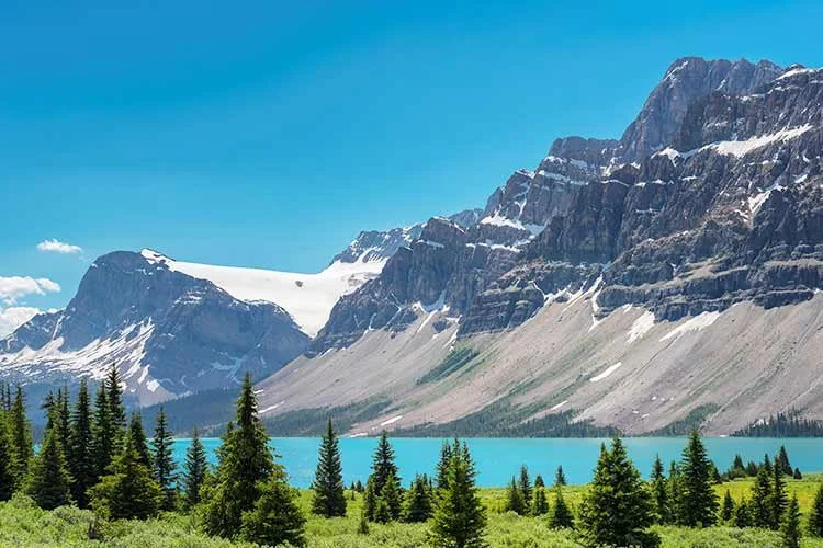 8-%EC%BA%98%EA%B1%B0%EB%A6%AC.jpg?type=w1200