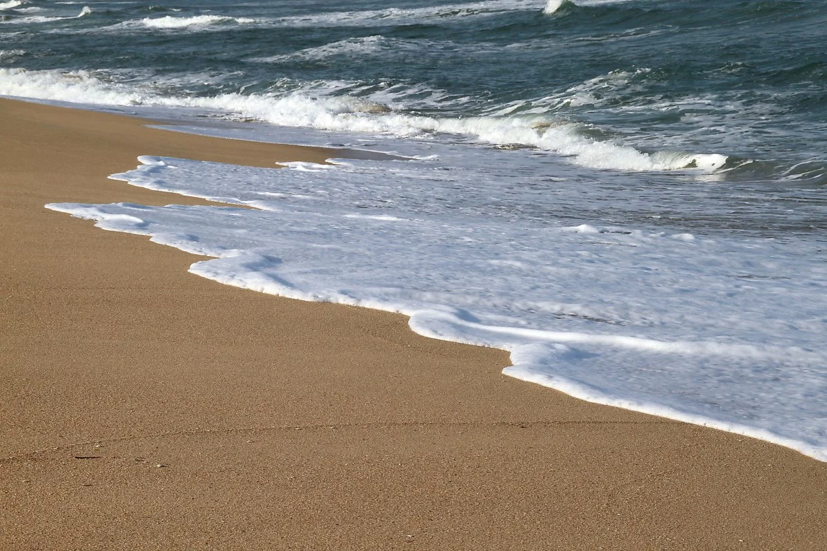 %EA%B2%BD%ED%8F%AC%ED%95%B4%EC%88%98%EC%9A%95%EC%9E%A5_%283%29.jpg?type=w1200