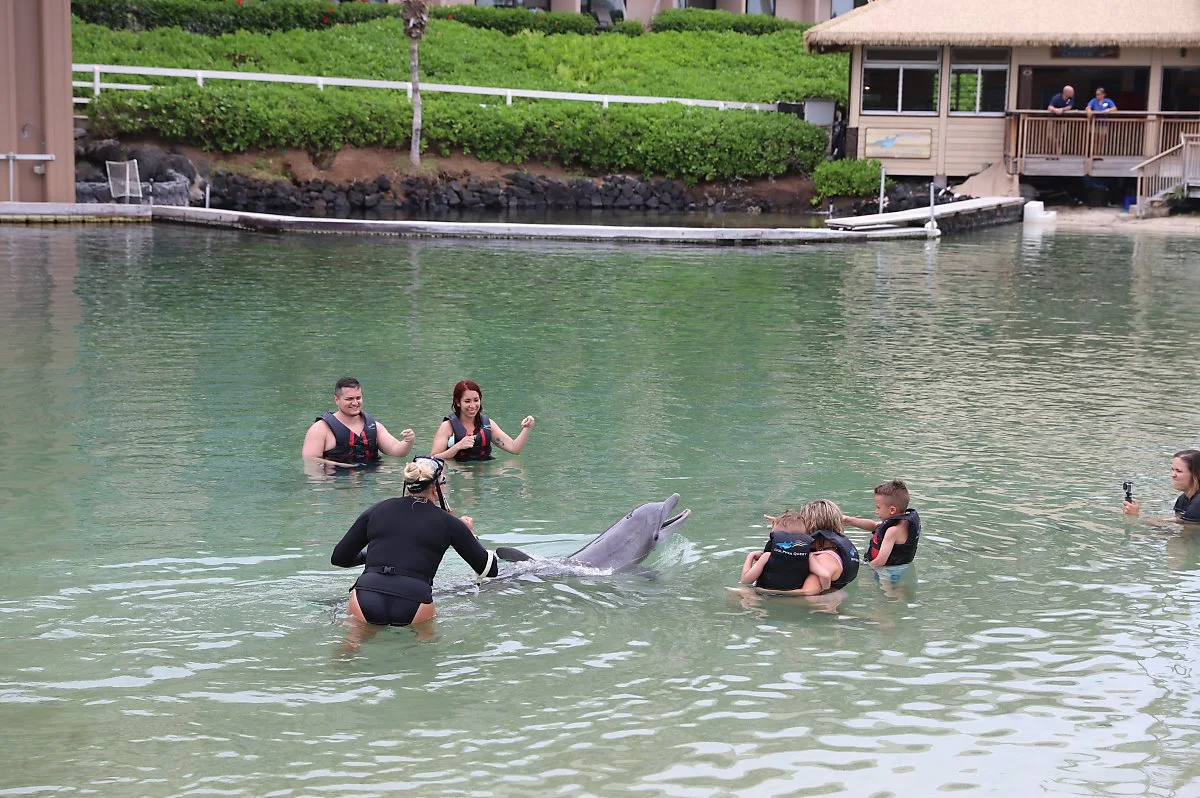 %ED%95%98%EC%99%80%EC%9D%B4%ED%95%AD%EA%B3%B5%EA%B6%8C16.JPG?type=w1200