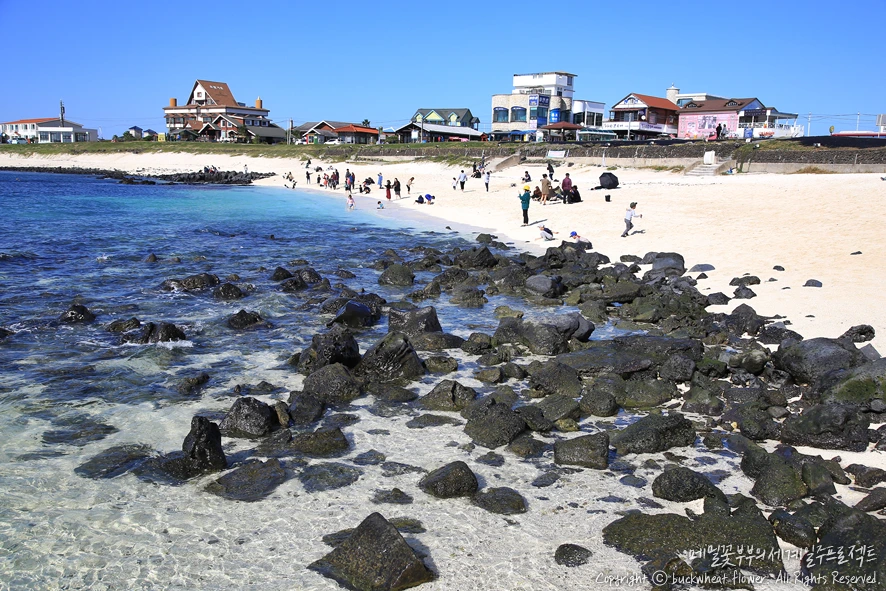 3.%EC%9A%B0%EB%8F%84%28%EC%84%9C%EB%B9%88%EB%B0%B1%EC%82%AC%29.png?type=w1200