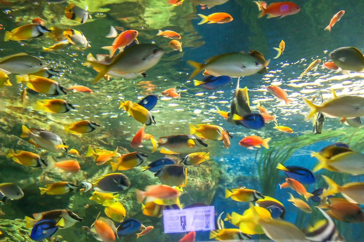 63%EC%8A%A4%ED%80%98%EC%96%B4_%281%29.jpg?type=w1200