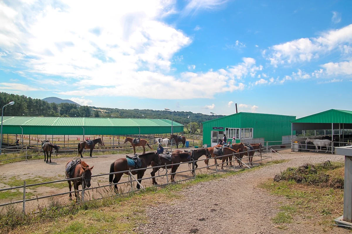 %EC%A0%9C%EC%A3%BC%EC%8A%B9%EB%A7%88%EA%B3%B5%EC%9B%90_%282%29.jpg?type=w1200