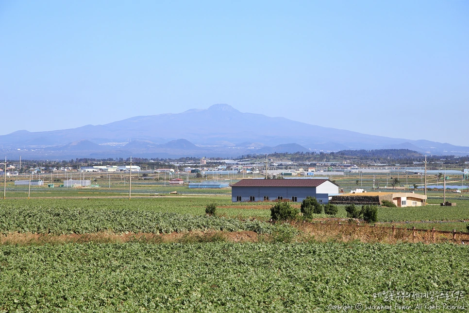 2.%EC%88%98%EC%9B%94%EB%B4%89%EC%97%90%EC%84%9C%EB%B3%B4%EC%9D%B4%EB%8A%94%ED%92%8D%EA%B2%BD%28%ED%95%9C%EB%9D%BC%EC%82%B0%2C%ED%8F%89%EC%95%BC%29.png?type=w1200