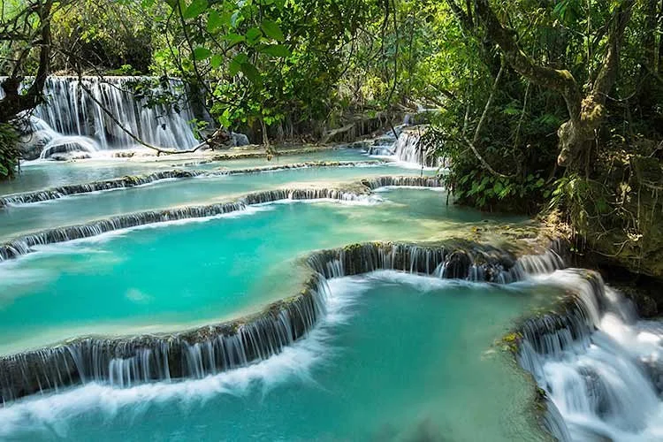 2-%EB%9D%BC%EC%98%A4%EC%8A%A4.jpg?type=w1200