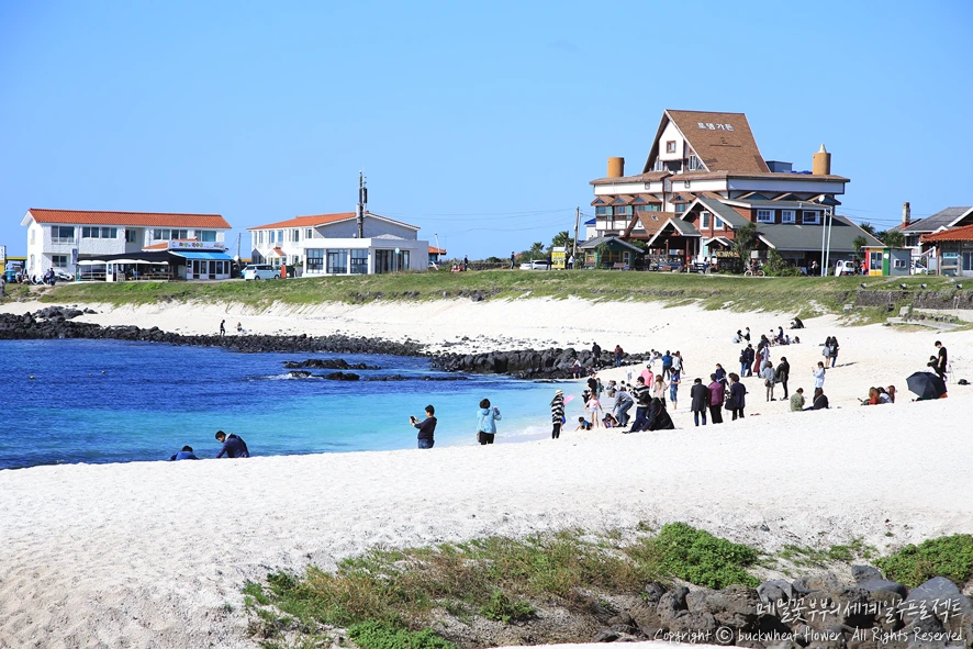 2.%EC%9A%B0%EB%8F%84%28%EC%84%9C%EB%B9%88%EB%B0%B1%EC%82%AC%29.png?type=w1200