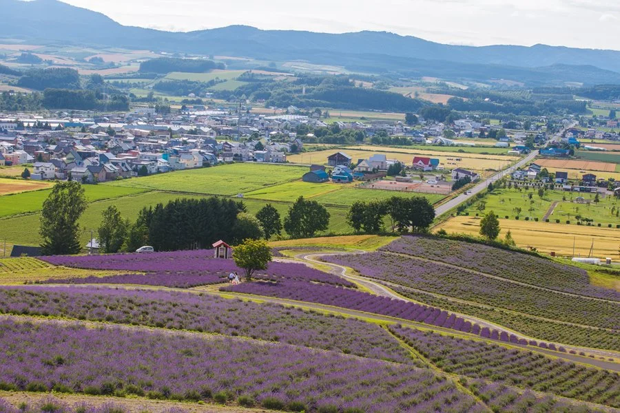 5%EC%9B%94SEO.%EC%82%BF%ED%8F%AC%EB%A1%9C%EC%97%AC%EB%A6%8413.jpg?type=w1200