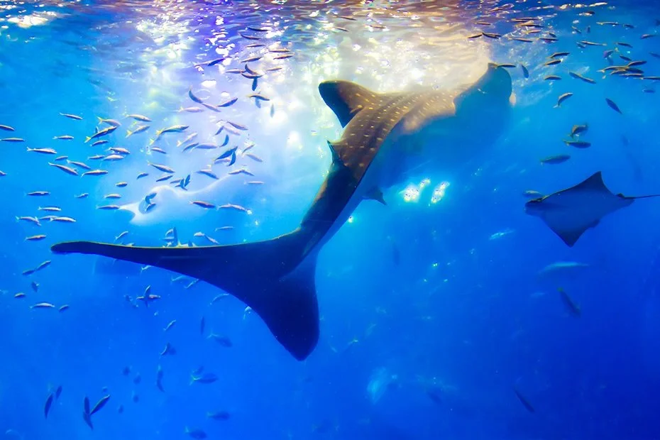 %EB%B6%81%EB%B6%80_%282%29.jpg?type=w1200