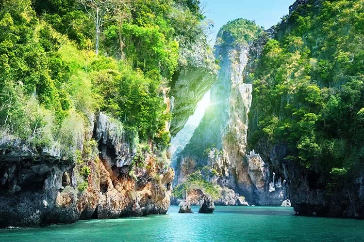 10_%EB%81%84%EB%9D%BC%EB%B9%84.jpg?type=w1200