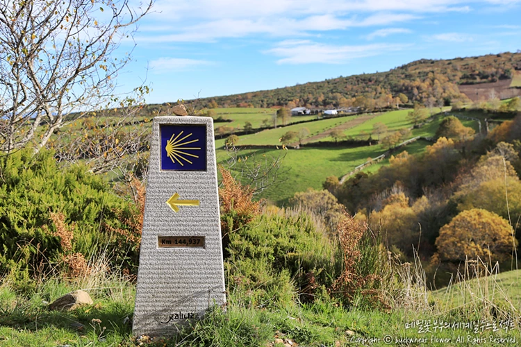 %EC%82%B0%ED%8B%B0%EC%95%84%EA%B3%A0%EC%88%9C%EB%A1%80%EA%B8%B8_%EC%A1%B0%EA%B0%9C%EA%BB%8D%EB%8D%B0%EA%B8%B0%ED%91%9C%EC%8B%9D_02.png?type=w1200