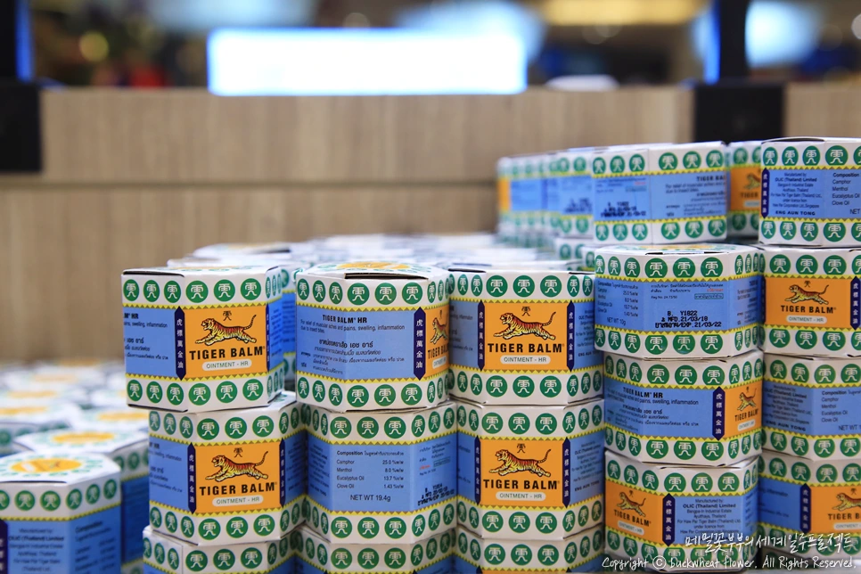 15.%ED%83%80%EC%9D%B4%EA%B1%B0%EB%B0%A4.png?type=w1200