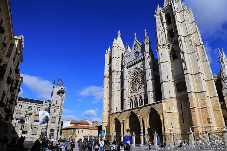 %EB%A0%88%EC%98%A8%EB%8C%80%EC%84%B1%EB%8B%B9.png?type=w1200