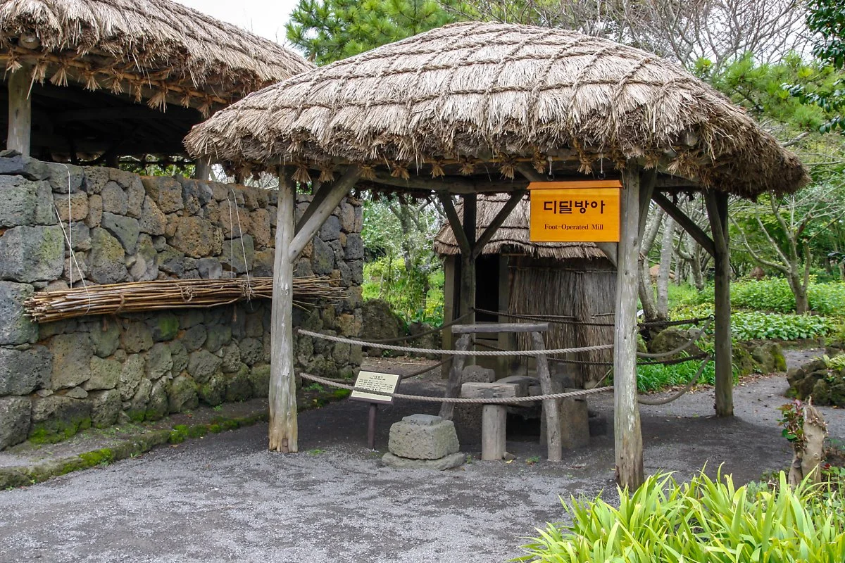 %EC%A0%9C%EC%A3%BC%EB%AF%BC%EC%86%8D%EC%B4%8C_%282%29.jpg?type=w1200