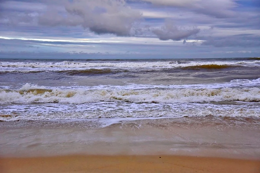 %EB%8B%A4%EB%82%AD_%EB%AF%B8%EC%BC%80%EB%B9%84%EC%B9%98.JPG?type=w1200