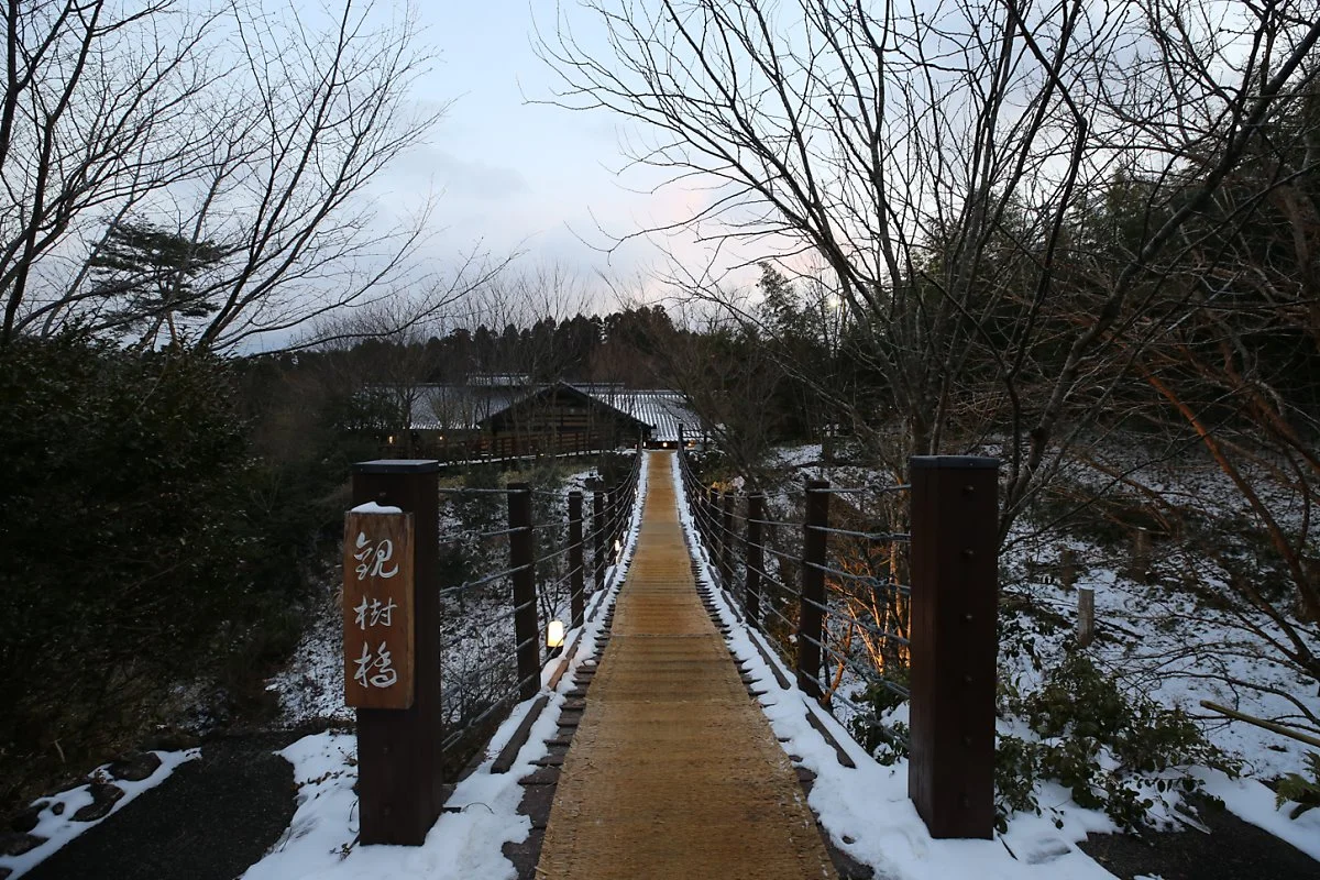 20180113-IMG_9790.jpg?type=w1200