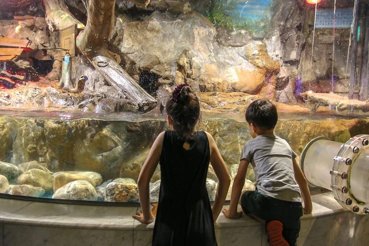 63%EC%8A%A4%ED%80%98%EC%96%B4_%282%29.jpg?type=w1200