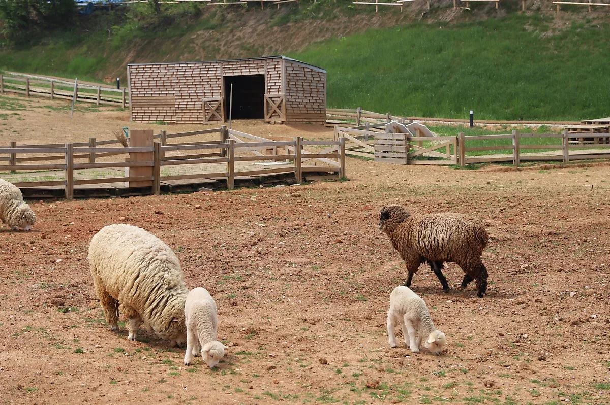 6%EC%9B%94_%EA%B5%AD%EB%82%B4%EC%97%AC%ED%96%89%EC%A7%80%EC%B6%94%EC%B2%9C4_%EA%B3%A0%EC%84%B13.JPG?type=w1200