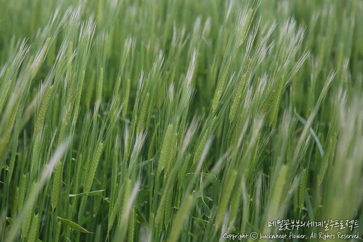 %EA%B0%80%ED%8C%8C%EB%8F%84%EC%B2%AD%EB%B3%B4%EB%A6%AC_03.png?type=w1200